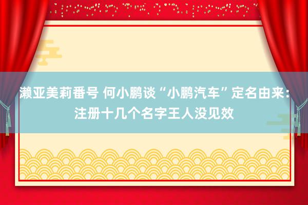 濑亚美莉番号 何小鹏谈“小鹏汽车”定名由来：注册十几个名字王人没见效