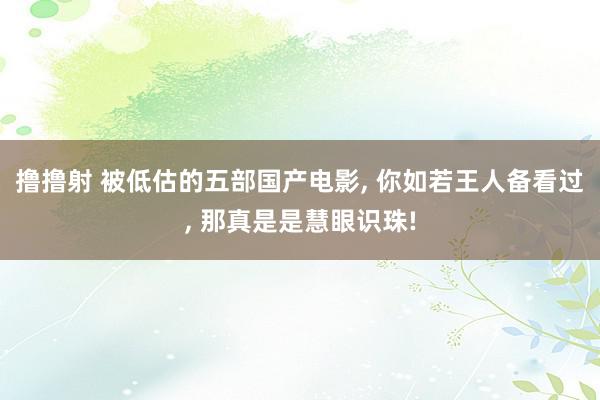 撸撸射 被低估的五部国产电影, 你如若王人备看过, 那真是是慧眼识珠!