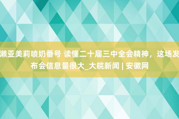 濑亚美莉喷奶番号 读懂二十届三中全会精神，这场发布会信息量很大_大皖新闻 | 安徽网