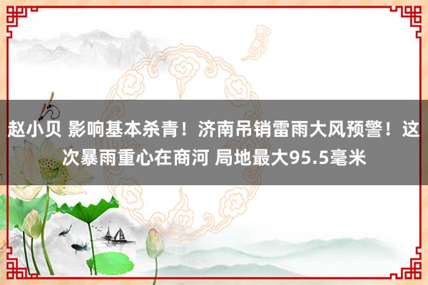 赵小贝 影响基本杀青！济南吊销雷雨大风预警！这次暴雨重心在商河 局地最大95.5毫米