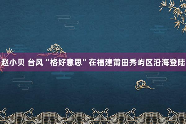 赵小贝 台风“格好意思”在福建莆田秀屿区沿海登陆