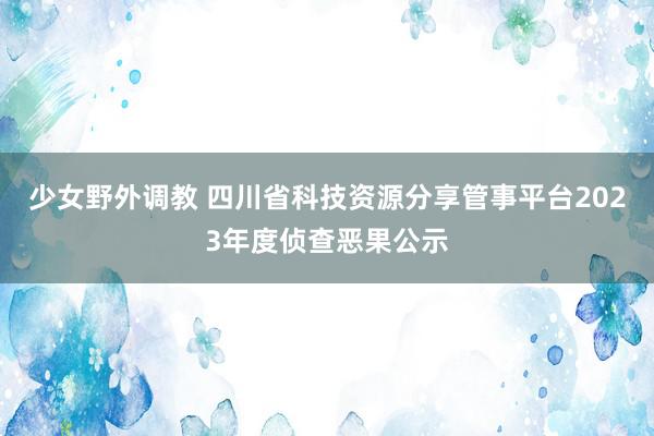 少女野外调教 四川省科技资源分享管事平台2023年度侦查恶果公示