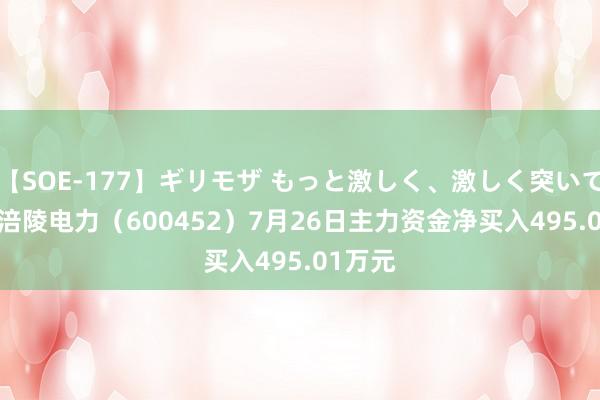 【SOE-177】ギリモザ もっと激しく、激しく突いて Ami 涪陵电力（600452）7月26日主力资金净买入495.01万元