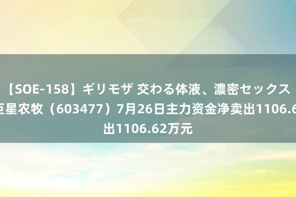 【SOE-158】ギリモザ 交わる体液、濃密セックス Ami 巨星农牧（603477）7月26日主力资金净卖出1106.62万元