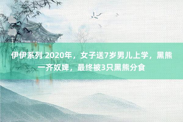 伊伊系列 2020年，女子送7岁男儿上学，黑熊一齐奴婢，最终被3只黑熊分食