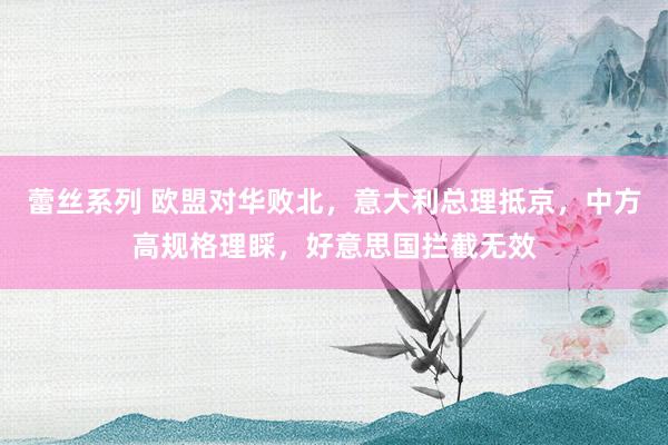 蕾丝系列 欧盟对华败北，意大利总理抵京，中方高规格理睬，好意思国拦截无效