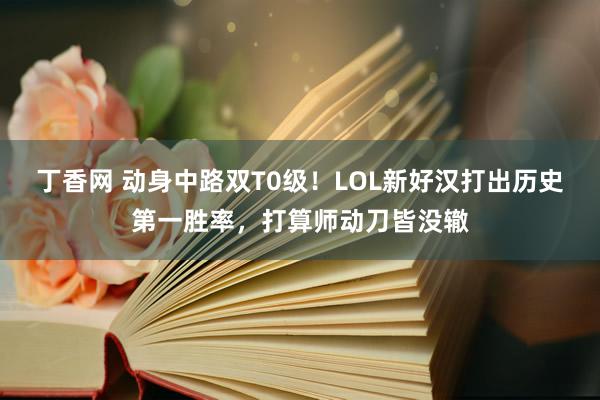 丁香网 动身中路双T0级！LOL新好汉打出历史第一胜率，打算师动刀皆没辙