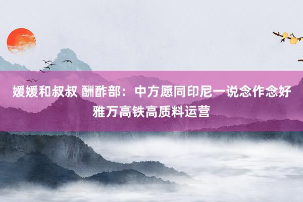 媛媛和叔叔 酬酢部：中方愿同印尼一说念作念好雅万高铁高质料运营