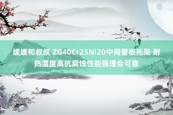 媛媛和叔叔 ZG40Cr25Ni20中间管板托架 耐热温度高抗腐蚀性能强理会可靠