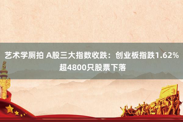 艺术学厕拍 A股三大指数收跌：创业板指跌1.62% 超4800只股票下落