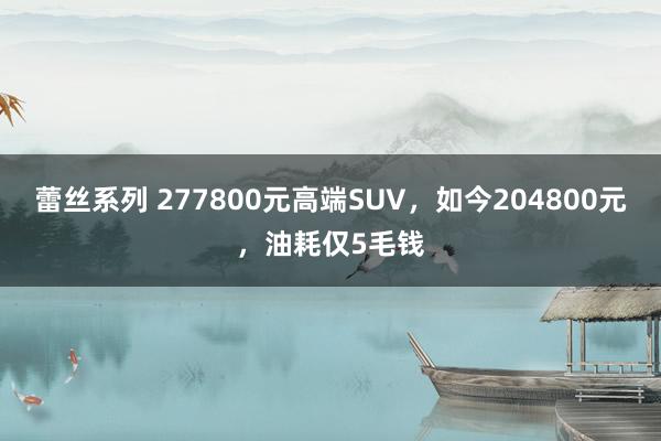 蕾丝系列 277800元高端SUV，如今204800元，油耗仅5毛钱