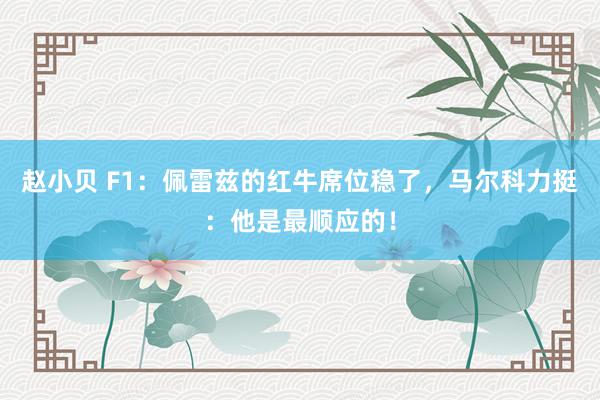 赵小贝 F1：佩雷兹的红牛席位稳了，马尔科力挺：他是最顺应的！