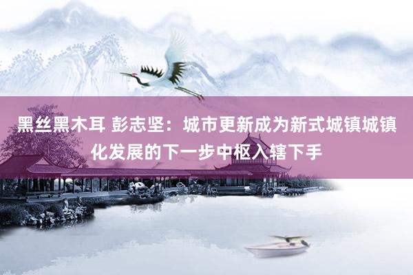 黑丝黑木耳 彭志坚：城市更新成为新式城镇城镇化发展的下一步中枢入辖下手