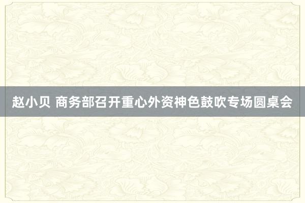 赵小贝 商务部召开重心外资神色鼓吹专场圆桌会