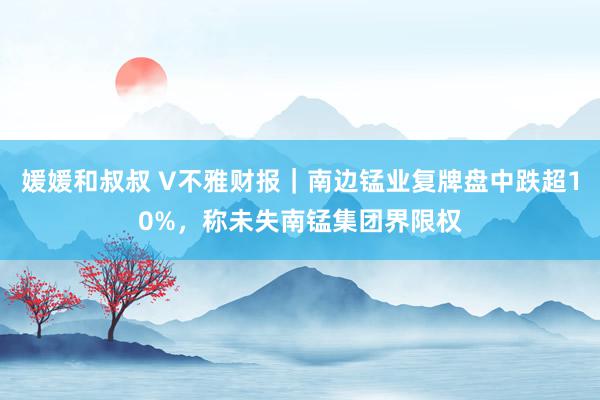 媛媛和叔叔 V不雅财报｜南边锰业复牌盘中跌超10%，称未失南锰集团界限权