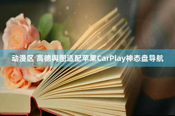 动漫区 高德舆图适配苹果CarPlay神态盘导航