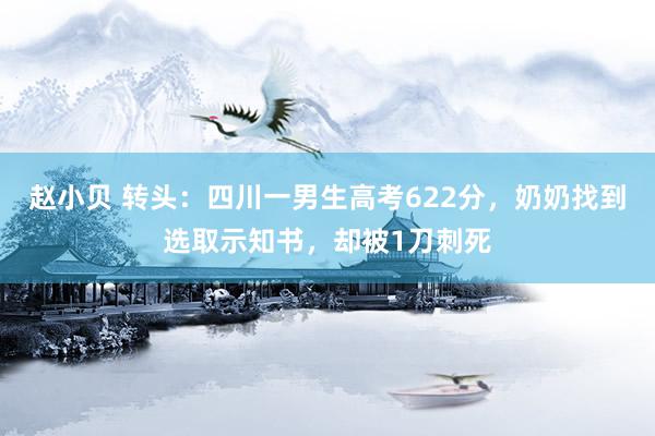 赵小贝 转头：四川一男生高考622分，奶奶找到选取示知书，却被1刀刺死