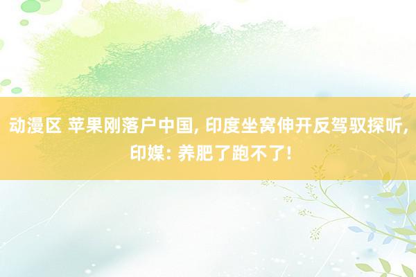 动漫区 苹果刚落户中国, 印度坐窝伸开反驾驭探听, 印媒: 养肥了跑不了!