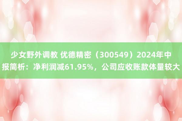 少女野外调教 优德精密（300549）2024年中报简析：净利润减61.95%，公司应收账款体量较大