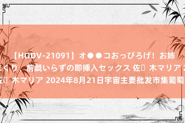 【HODV-21091】オ●●コおっぴろげ！お姉ちゃん 四六時中濡れまくり、前戯いらずの即挿入セックス 佐々木マリア 2024年8月21日宇宙主要批发市集葡萄价钱行情