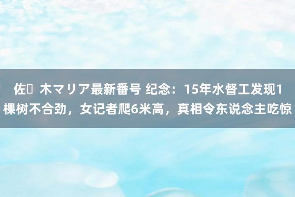 佐々木マリア最新番号 纪念：15年水督工发现1棵树不合劲，女记者爬6米高，真相令东说念主吃惊