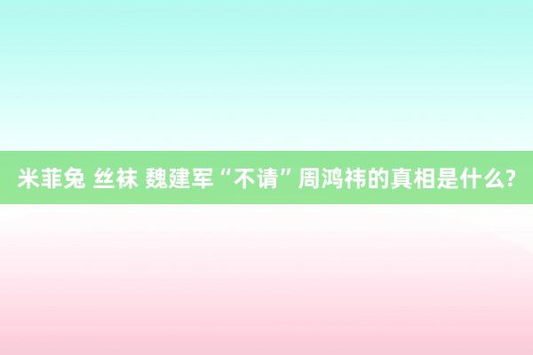 米菲兔 丝袜 魏建军“不请”周鸿祎的真相是什么?