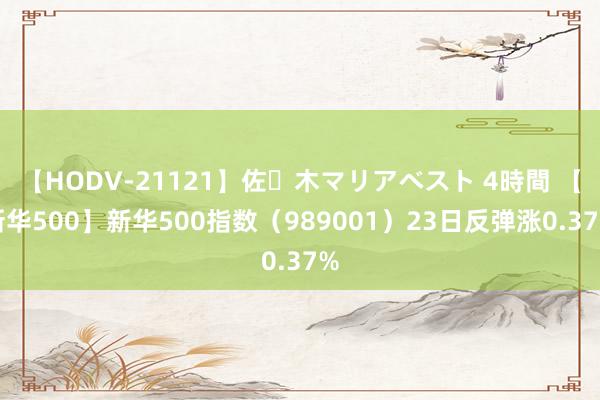 【HODV-21121】佐々木マリアベスト 4時間 【新华500】新华500指数（989001）23日反弹涨0.37%