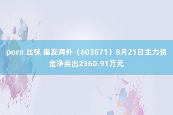 porn 丝袜 嘉友海外（603871）8月21日主力资金净卖出2360.91万元