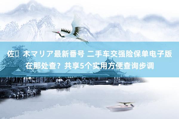 佐々木マリア最新番号 二手车交强险保单电子版在那处查？共享5个实用方便查询步调