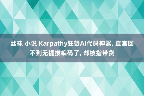 丝袜 小说 Karpathy狂赞AI代码神器, 直言回不到无提拔编码了, 却被指带货