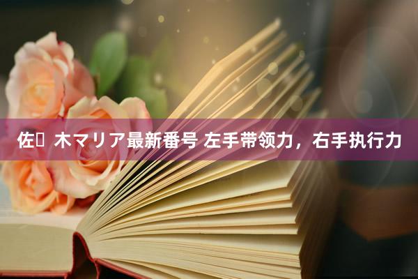 佐々木マリア最新番号 左手带领力，右手执行力